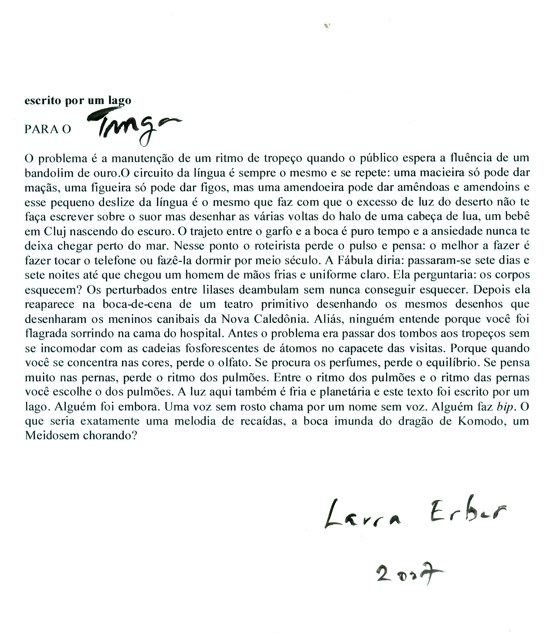 Escrito por um Lago (carta p/ Tunga, de Laura Erber)