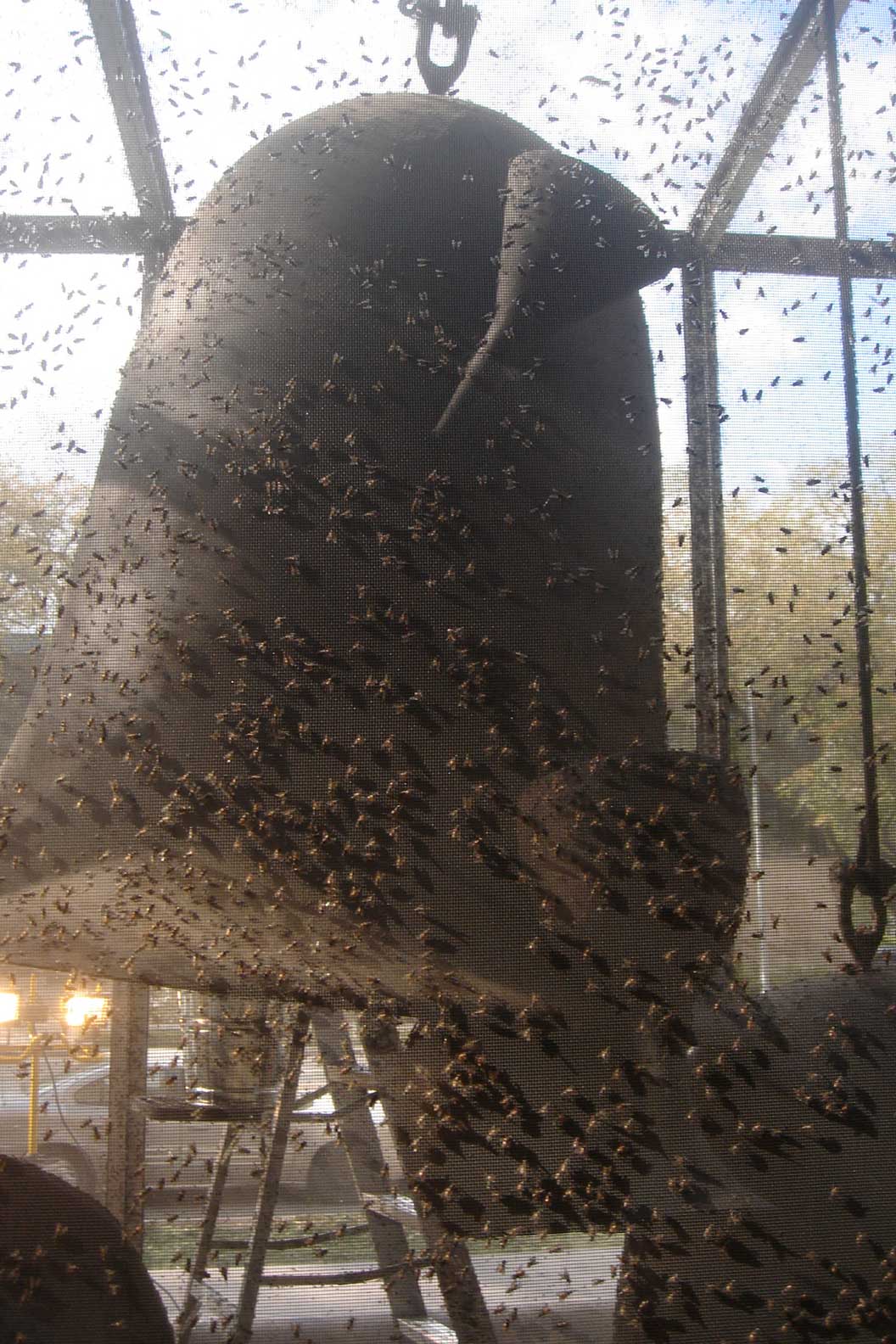 Milky Fallings in Flying Hecatomb Immersion