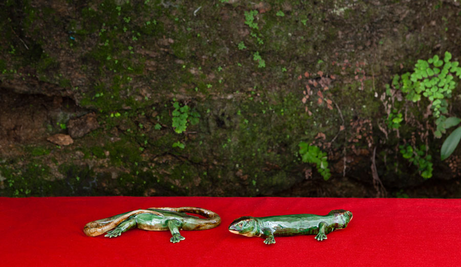 Untitled, from the series Bordalo Pinheiro