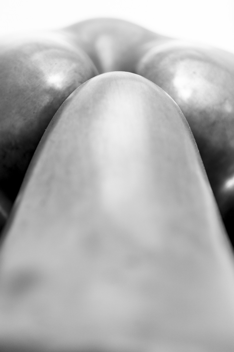 Untitled, from the series Morphologicals