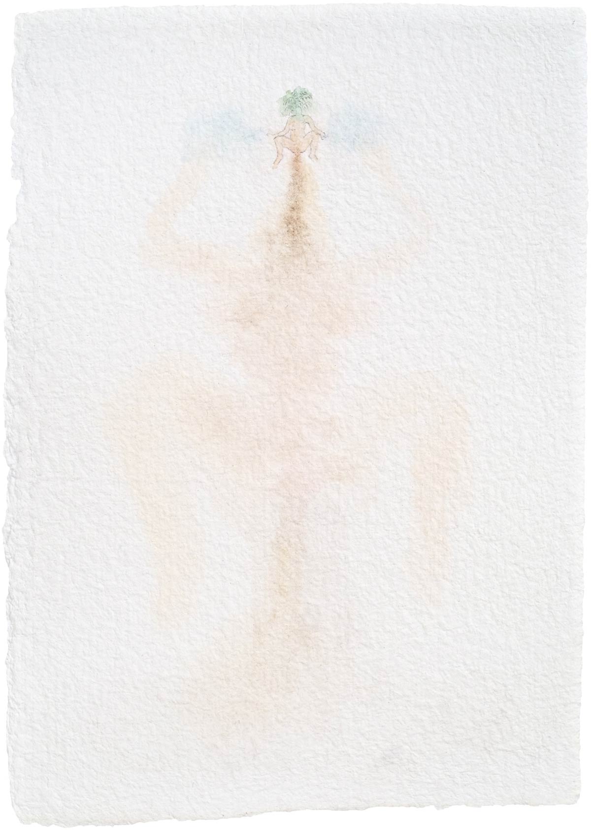 Phanografia, from the series Quase Auroras