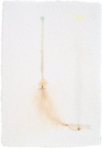 Phanografia, from the series Quase Auroras
